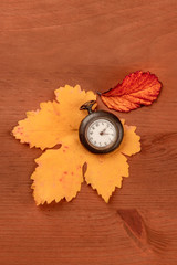 An old watch with autumn leaves, shot from above on a dark rustic wooden background with copy space