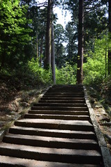 羽黒山の石段 ／山形県鶴岡市の羽黒山は標高414mで、山岳信仰の中心地として有名です。参道は瑞心門から国宝の五重塔を通り、上ること2446段と、石段の数で神社では日本一です。出羽三山神社までは車での参拝も出来ますが、パワースポットの御利益は、徒歩の方が上と言わています。