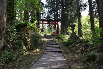 羽黒山の石段 ／山形県鶴岡市の羽黒山は標高414mで、山岳信仰の中心地として有名です。参道は瑞心門から国宝の五重塔を通り、上ること2446段と、石段の数で神社では日本一です。出羽三山神社までは車での参拝も出来ますが、パワースポットの御利益は、徒歩の方が上と言わています。