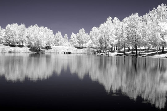 Froideur d'hiver