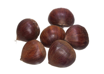 chestnut isolated on white background