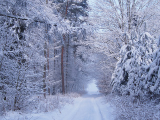 Piękny śnieżny zimowy krajobraz