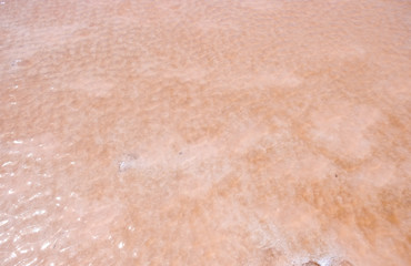 Fototapeta premium The salty pink lake, Crimea