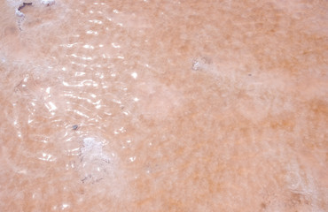 The salty pink lake, Crimea