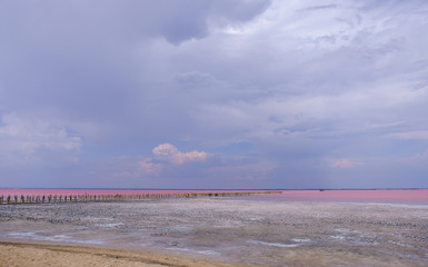 The salty pink lake, Crimea