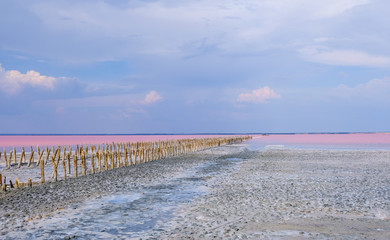 The salty pink lake, Crimea