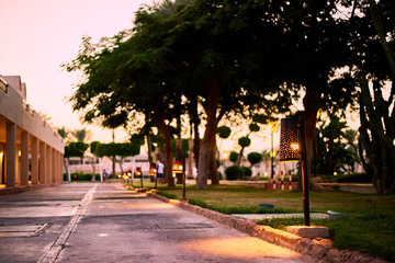 street in city at night