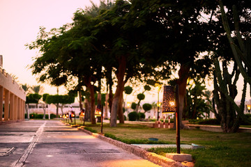 Obraz premium alley in park