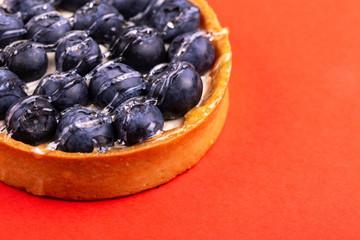Delicious blueberry tartlet with vanilla cream on bright red background