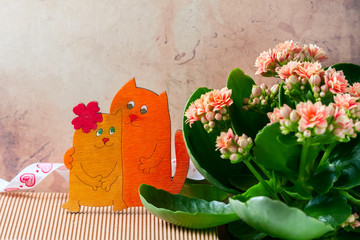 Enamoured cats, Valentine's day. Pink kalanchoe flowers.