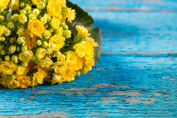 Kalanchoe flowering yellow bouquet on vintage background.