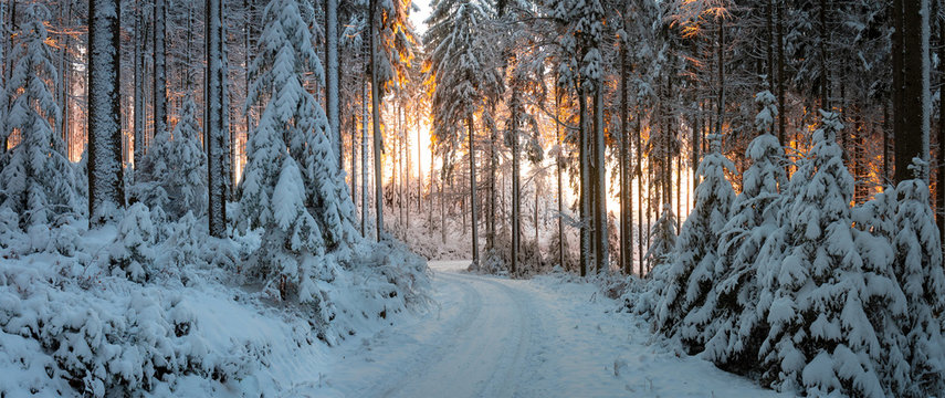 Abendrot im Winterwald