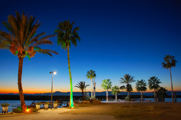 Obraz premium Palmy nad morzem w parku z pięknym oświetleniem nocnym