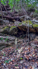 Upward view of small path covered in fallen rocks