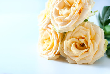 Glass jar with rose water and aromatherapy, copy space for text.