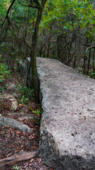 Flat runway rock outcropping in forest