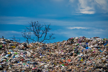 Deponie in der Natur
