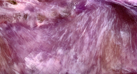 Obraz premium natural abstract texture from lilac charoite
