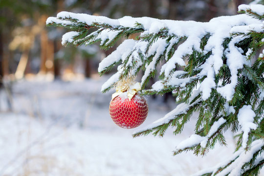 the Christmas fir-tree in snow is decorated with toys