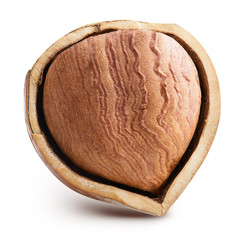 Hazelnut isolated Clipping Path