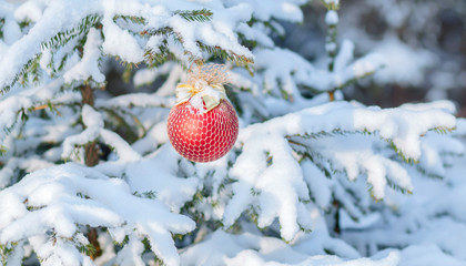 Christmas sphere on a snow-covered fir-tree