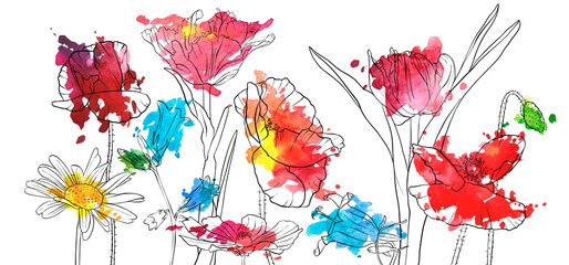 vector drawing poppy flowers