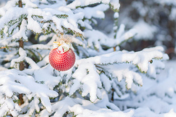 Christmas sphere on a snow-covered fir-tree