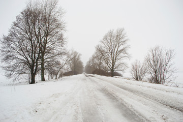 Obraz premium Snowy weather on the empty road, danger, winter.