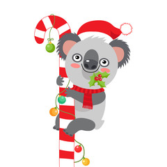 Funny Koala Christmas Vector. Merry Christmas From Australia Koala Christmas Card. Cute Animal Cartoon Character Holiday Vector Illustration On A White Background.