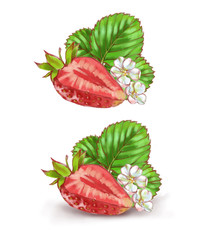 Hand drawn watercolor illustration of the different tasty red strawberry isolated on the white background.
