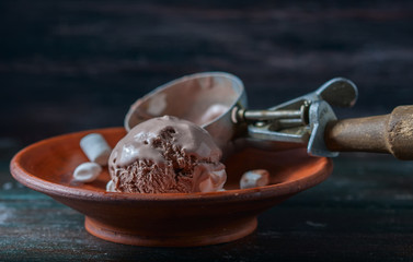 Fototapeta premium Homemade chocolate ice cream with marshmallow on rustic wooden background