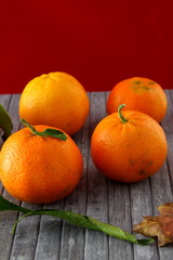 Fototapeta na wymiar Fresh organic mandarins 