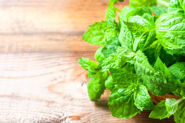 Juicy, fresh, aromatic green mint on the wooden table
