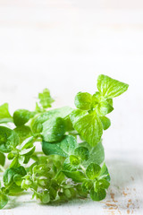 Fresh Organic Oregano, macro, selective focus