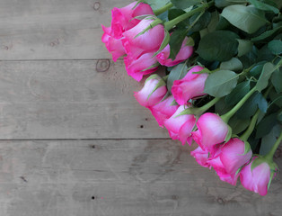 Pink Roses on a Wooden surface. Rose blooms.