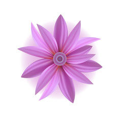 Flower isolated on white background. Vector.