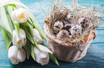 easter composition consists of a white tulips, quail eggs
