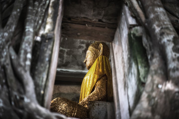 Buddha statue at Wat Bang Kung – Having been engulfed by the roots and branches of large banyan trees over the course of several centuries, natural beauty and serene spiritualism.