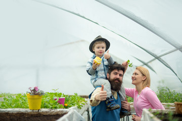 dieting. dietingand healthy food. dieting with organig eating. dieting concept. family with potted plant.