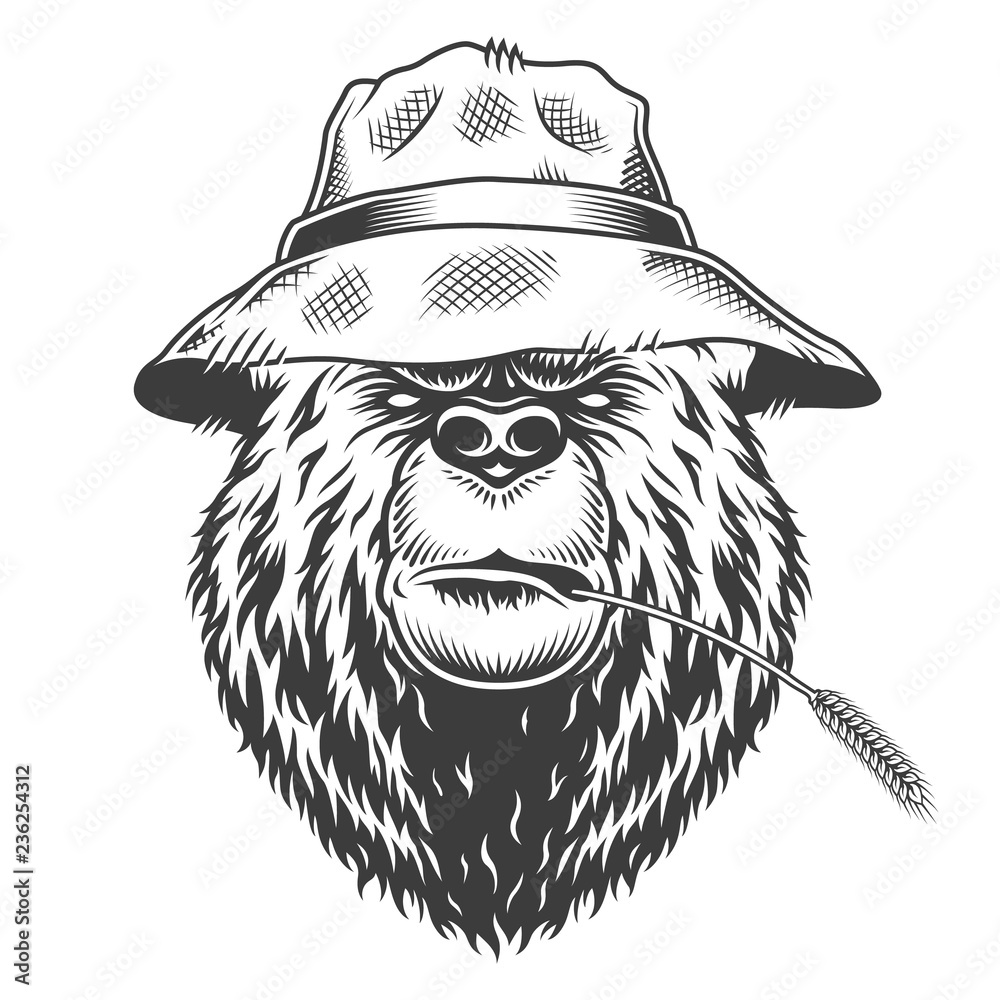Wall mural serious bear head wearing panama hat