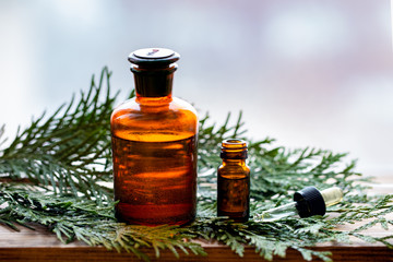 Thuja aroma essential oil