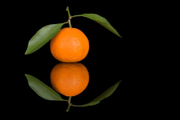 Fresh juicy tangerine with two green leaves on a black background. Orange citrus on glass with a bright and clear reflection.