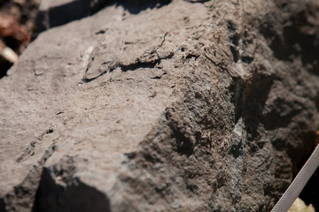 graye stone texture or background