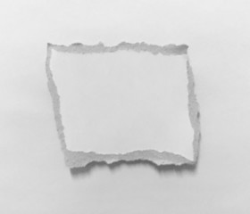pieces of torn paper texture background, copy space.