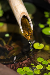 日本のつくばい