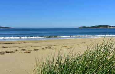 Beach with vegetation in sand dunes and small waves breaking. Blue sea with foam, sunny day. Galicia, Spain.