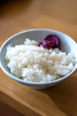 白米　ご飯