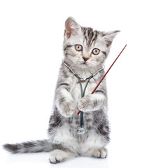 Sad kitten with stethoscope on his neck pointing away on empty space. Isolated on white background