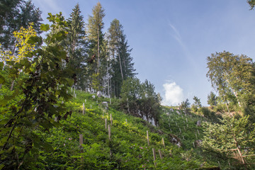 mountain landscape next to Werfenweng