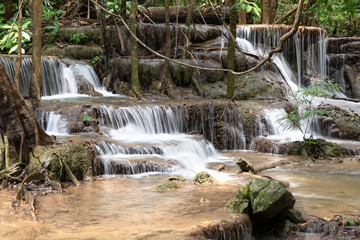 Obraz premium waterfall in rainforest